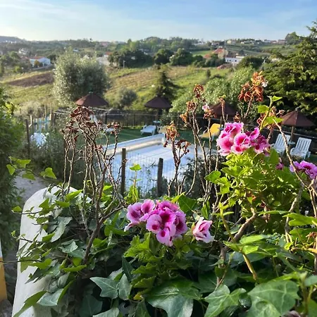 Aldeamento Turístico Quinta Laranja - - 4*