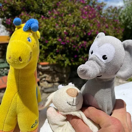 Semesterpark Quinta Laranja - - Alvorninha