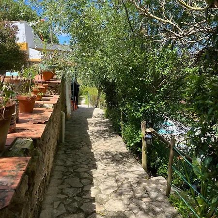 Quinta Laranja - - Village de vacances Alvorninha