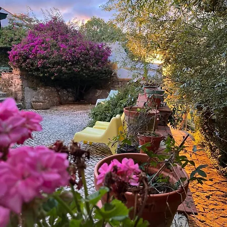 Aldeamento Turístico Quinta Laranja - -