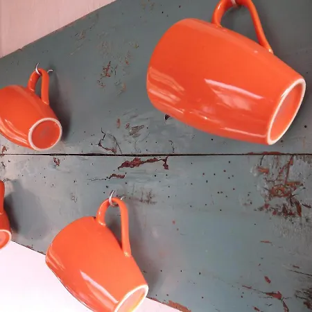 Quinta Laranja - - Aldeamento Turístico Alvorninha