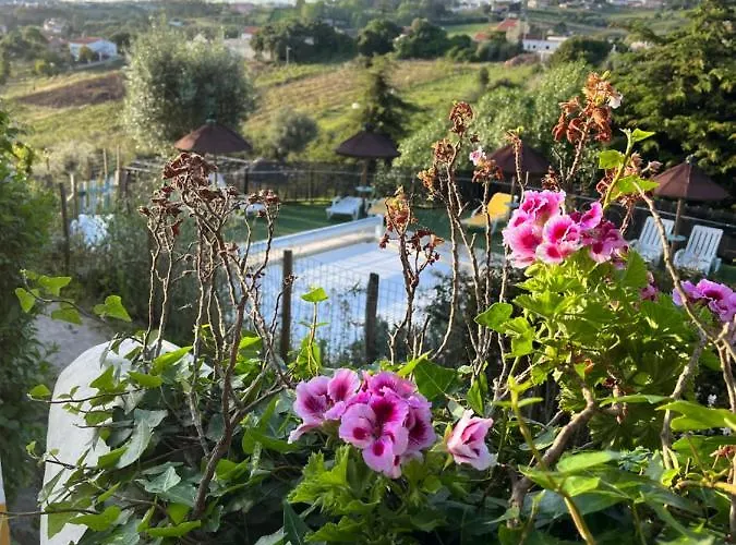 Village de vacances Quinta Laranja - - 4*