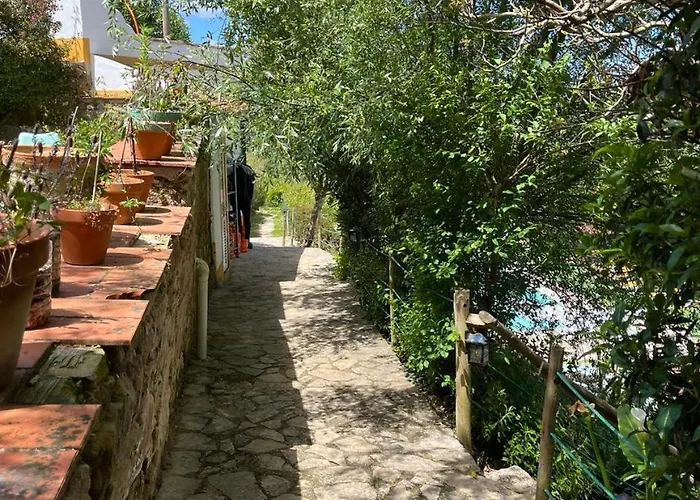 Quinta Laranja - - Village de vacances Alvorninha